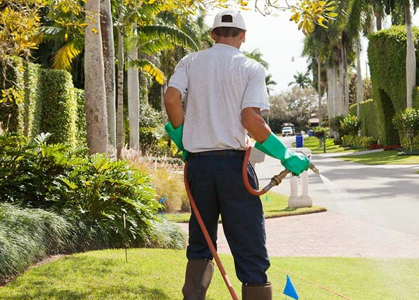 About Eagle Mountain UT Pest Control Pros